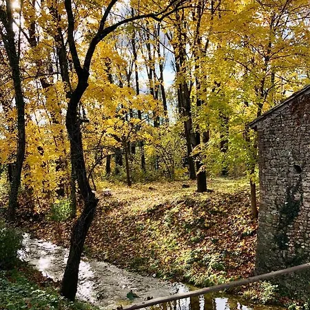 L'etape Du Moulin De Saint-julien Guest house